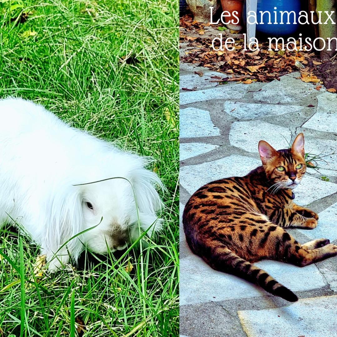 Готель La Campagne A Paris Сен-Клу Екстер'єр фото